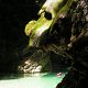 CANYONING (15)